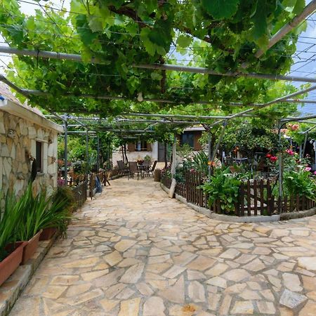 Dimitris'S Country House Agia (Chania, Crete) Exterior foto