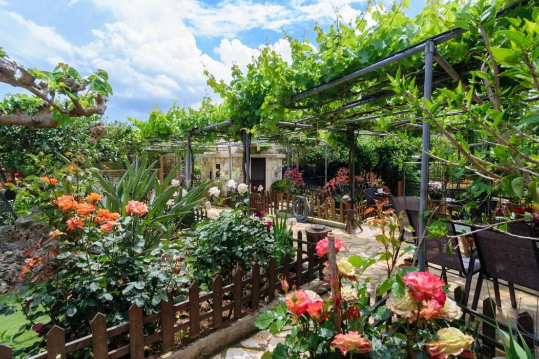 Dimitris'S Country House Agia (Chania, Crete) Exterior foto